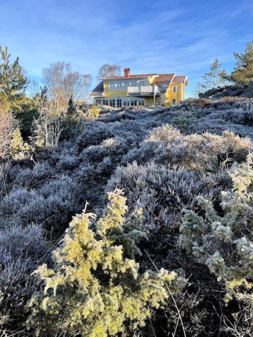 Lovely, Bright Apartment Overlooking Nature Fiskebäckskil エクステリア 写真